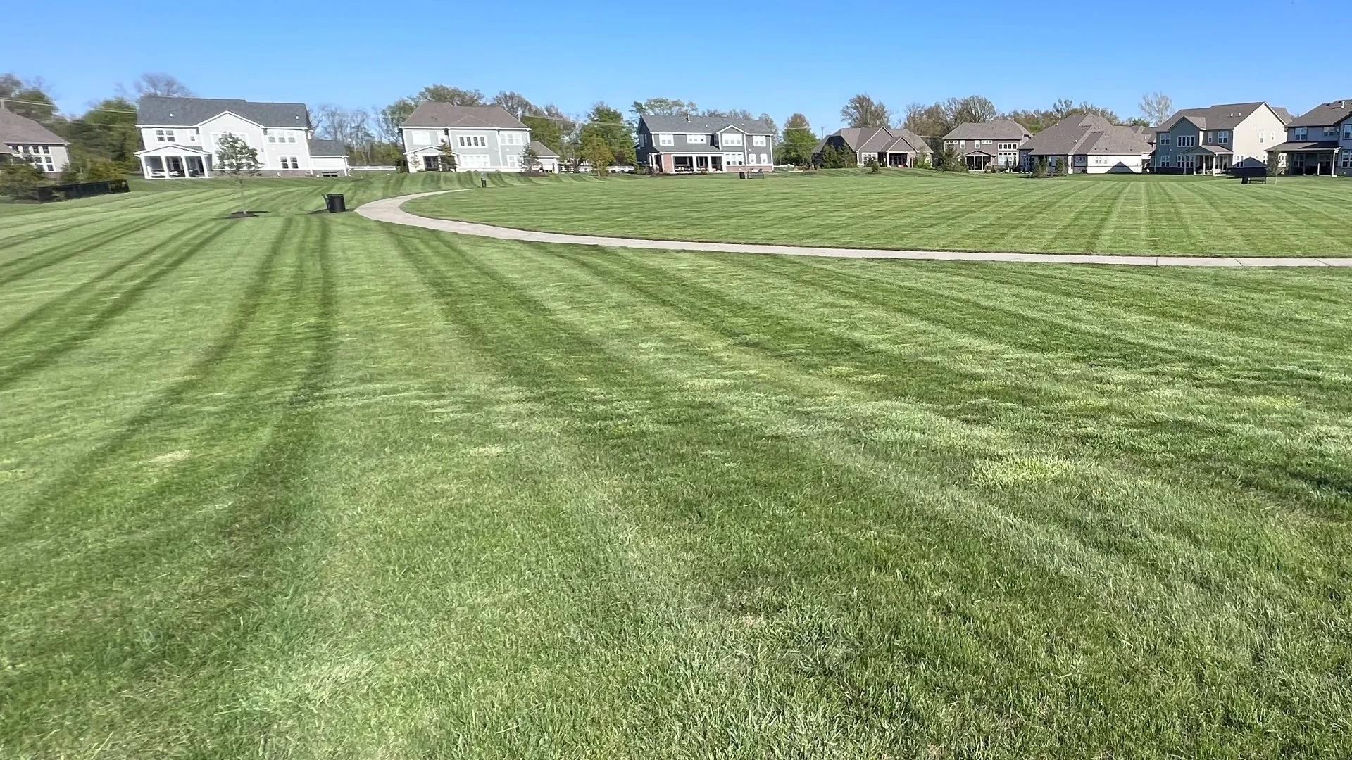 Don’t Mow Your Lawn Right After It Rains - Always Wait for It to Dry!