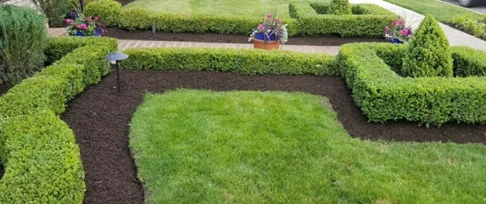 A landscape bed in Carmel, IN, filled with plants.