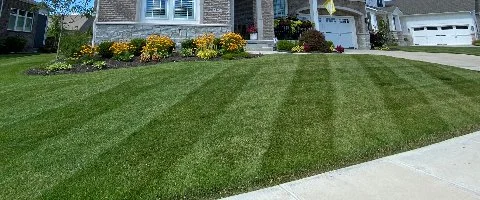 Perfectly mowed lawn with trimmed landscaping in Carmel, IN.