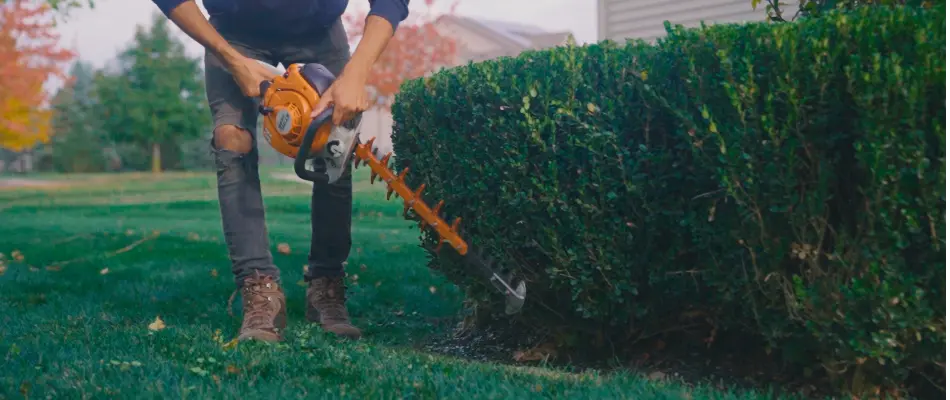 Worker in Carmel, IN, trimming bush. 