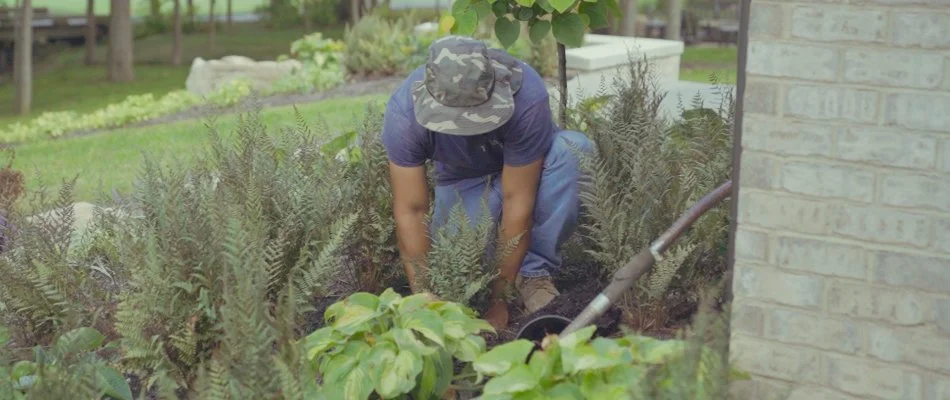 Landscape worker in Cicero, IN.