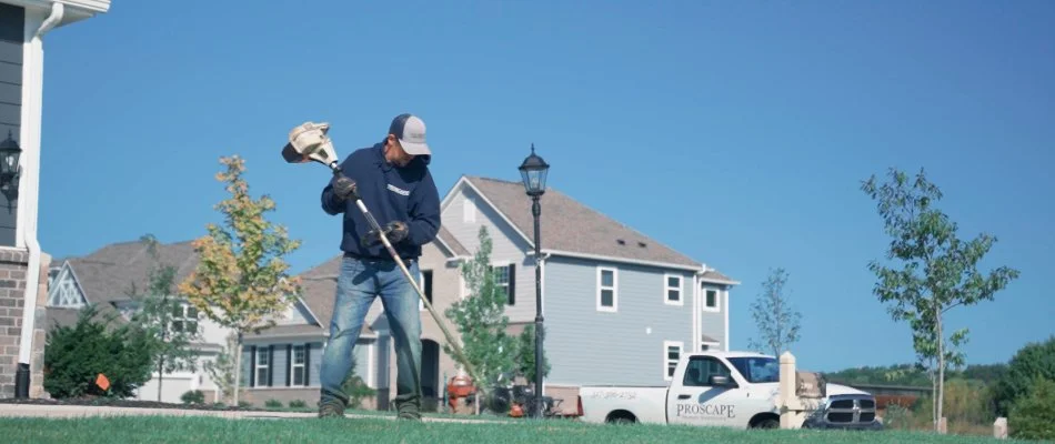 Lawn maintenance with trimmer.