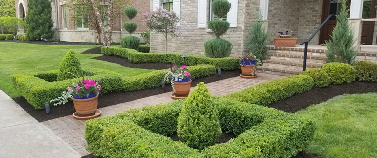 Black mulch in a landscape bed in Carmel, IN.