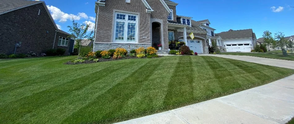 Freshly mowed lawn in Fortville, IN.