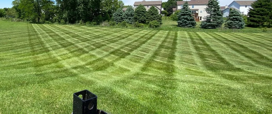 Lawn in Carmel, IN, with rotated mowing patterns.