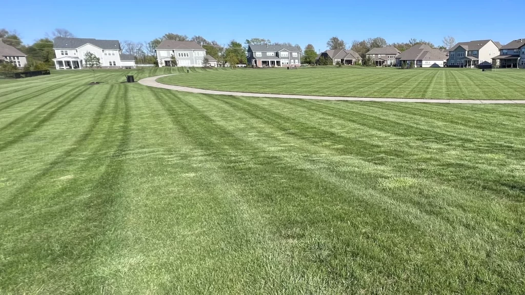 Don’t Mow Your Lawn Right After It Rains - Always Wait for It to Dry! banner-commercial-mowing-on-a-large-healthy-lawn