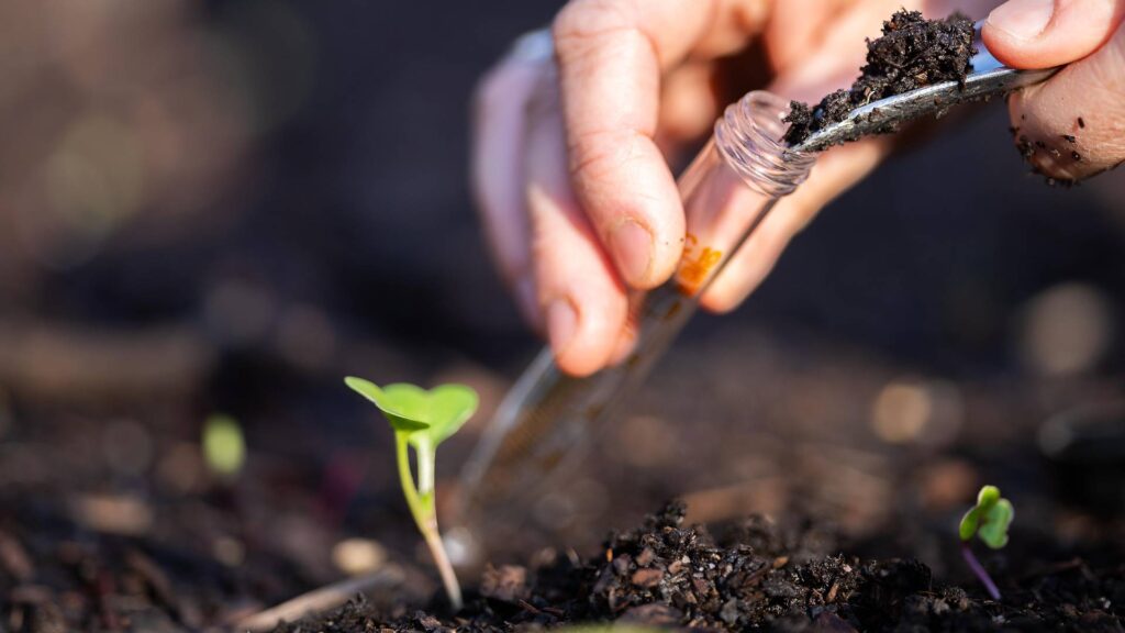 Balancing Soil pH Levels for Optimal Nutrient Absorption in Midwest Lawns professional soil test Carmel, IN