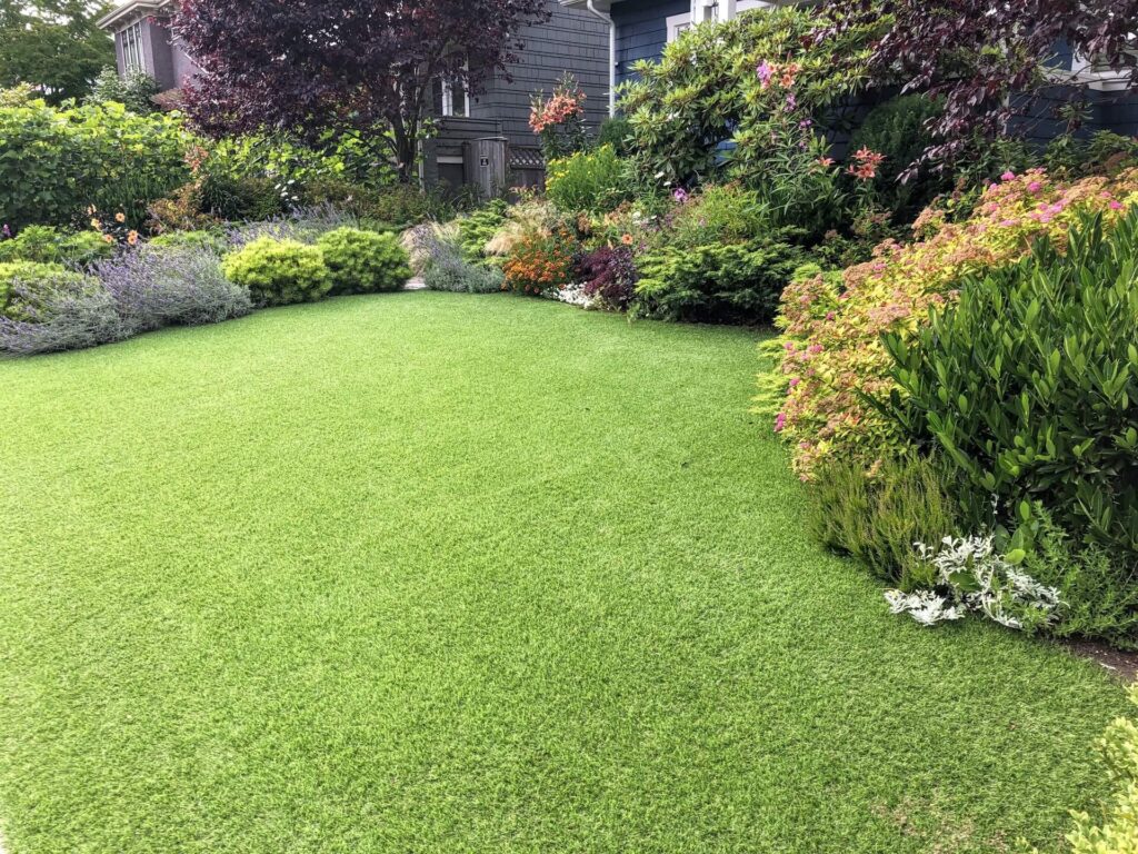 Building a Naturally Weed-Resistant Lawn Through Smart Cultural Practices weed resistant lawn