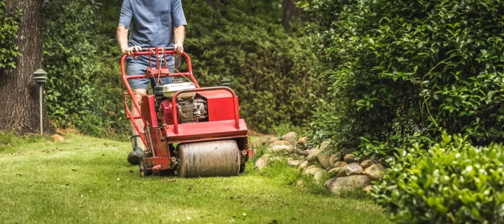 How Often Should You Aerate Your Lawn for Best Results aerate your lawn for best results