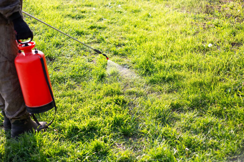 How Do You Choose Between Spot Treatment and Broadcast Applications for Weed Control? professional treatment for weed control