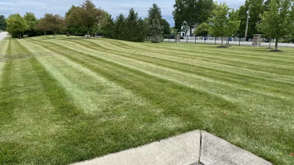 Overseeding After Aeration: How to Fill in Thin Spots Effectively overseeding after aeration
