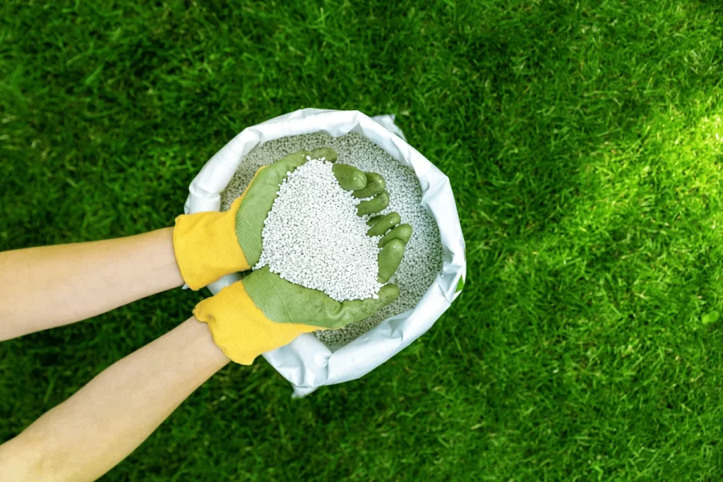 How Much Does Professional Lawn Care Cost in Carmel, IN? professional lawn care cost carmel in