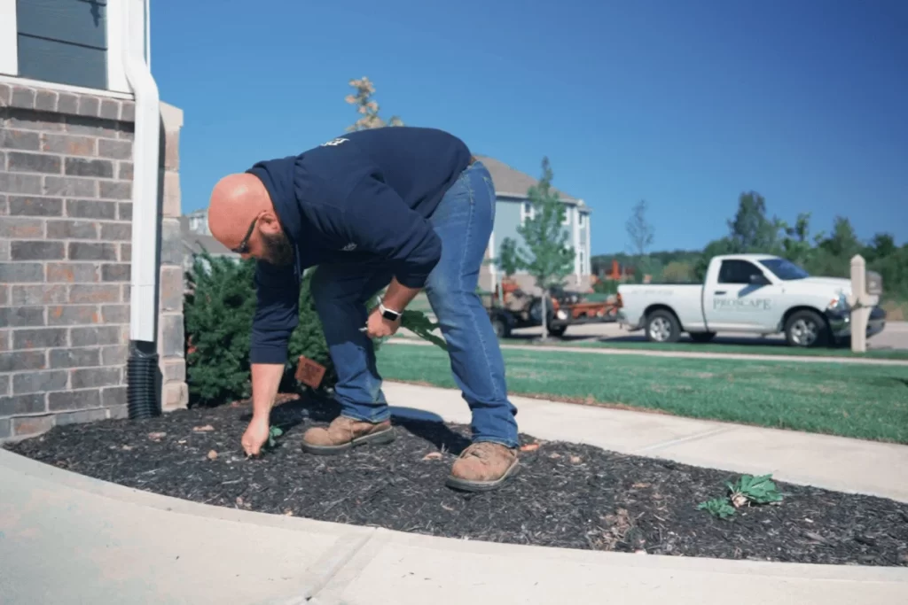 Sod vs. Seeding in Indiana: Which Lawn Method Is Right for Your Carmel Home sod vs seeding in indiana